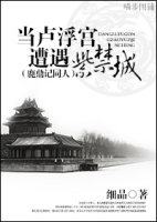 当卢浮宫遭遇紫禁城(鹿鼎记同人)封面