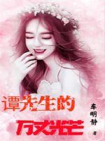 谭先生的万丈光芒封面