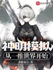 神明模拟：从一维世界开始封面