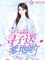 学霸妈咪，寻子送爹地哟！封面