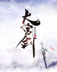 大宝剑封面