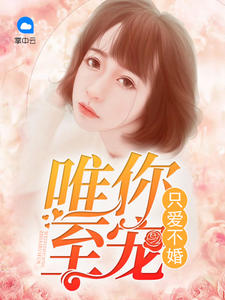 只爱不婚:唯你至宠封面