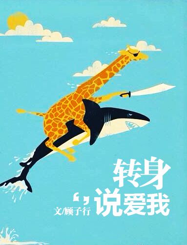 转身说爱我封面