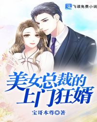 美女总裁的上门狂婿封面