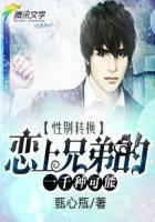 性转：恋上兄弟的一千种可能封面