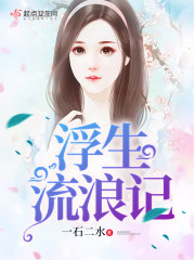 浮生流浪记封面