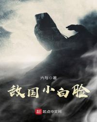 敌国小白脸封面