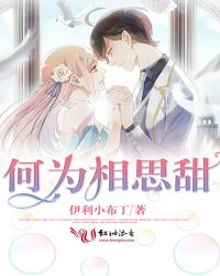 何为相思甜封面