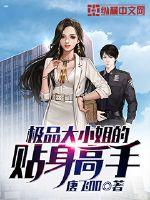 极品大小姐的贴身高手封面