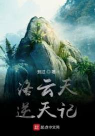洛云天逆天记封面