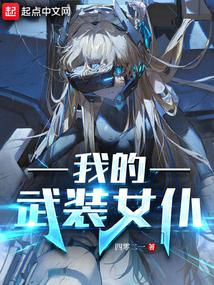 我的武装女仆封面