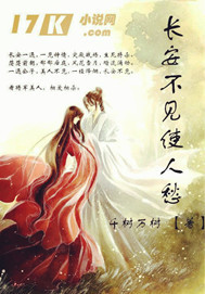 长安不见使人愁封面