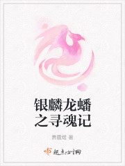 银麟龙蟠之寻魂记封面