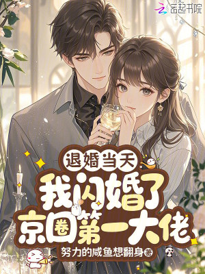 退婚当天,我闪婚了京圈第一大佬封面