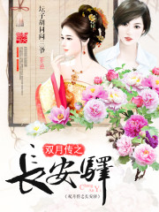 双月传之长安驿封面