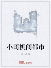 小司机闯都市封面