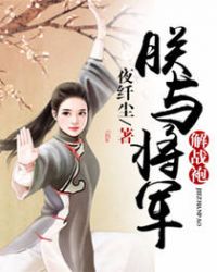 朕与将军解战袍封面