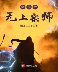 穿越之无上宗师封面
