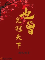 也曾宠冠天下封面