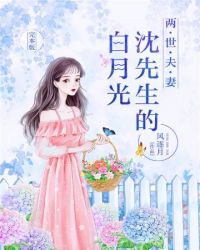 两世夫妻：沈先生的白月光封面