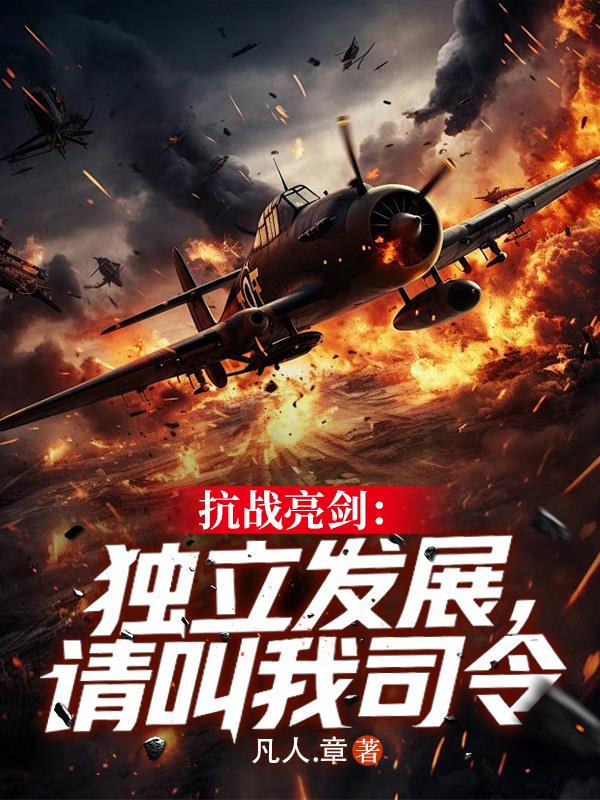 抗战亮剑：独立发展请叫我司令封面
