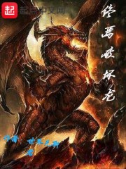 终焉破坏龙封面
