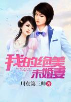 我的绝美未婚妻封面