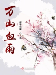 万山血雨封面