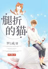 腿折的猫封面