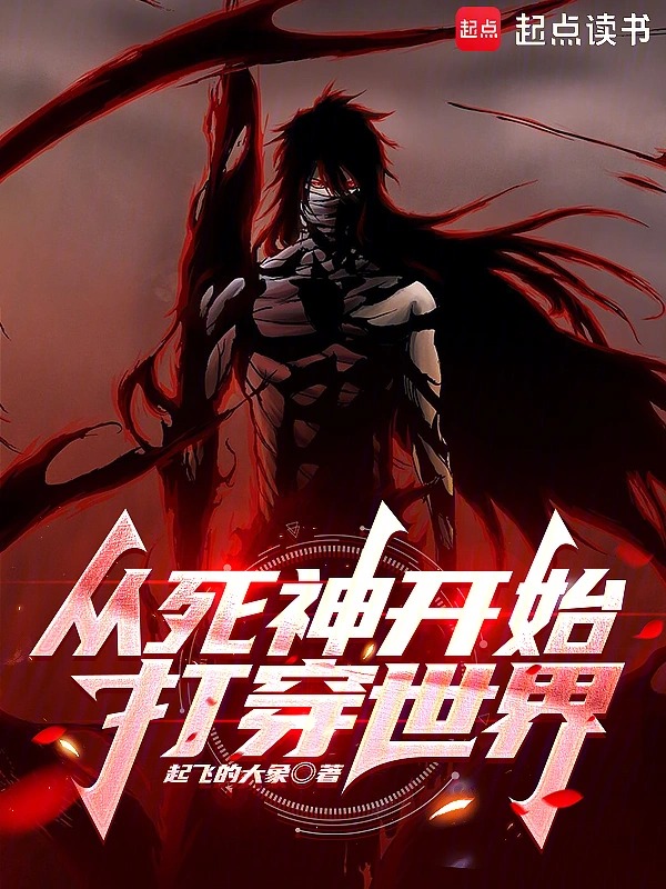 从死神开始打穿世界封面