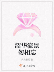 韶华流景勿相忘封面