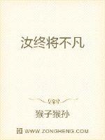 汝终将不凡封面