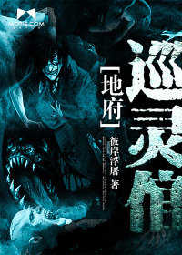 巡灵见闻录封面