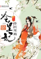 冷宫里的冷皇妃封面
