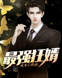 最强狂婿封面