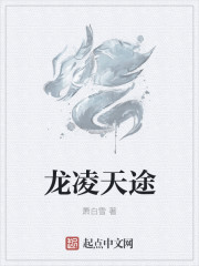 龙凌天途封面