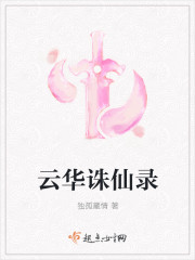 云华诛仙录封面
