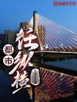 都市任纵横封面