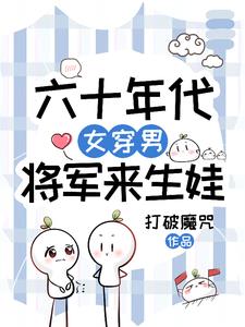 六十年代,女穿男,将军来生娃封面