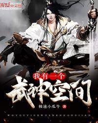 我有一个武神空间封面