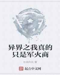 异界之我真的只是军火商封面