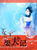 女王娶夫记封面