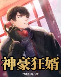 神豪狂婿封面