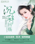 沉醉回殇封面
