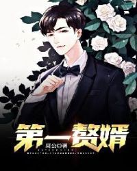 第一赘婿封面
