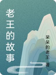 老王的故事封面