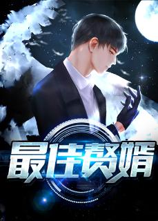 最佳赘婿封面