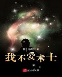 我不爱术士封面
