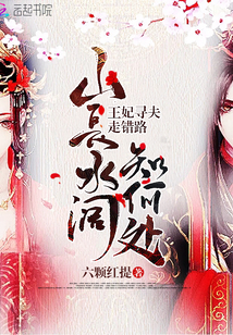 山长水阔知何处王妃寻夫走错路封面