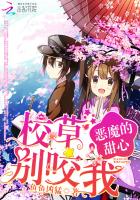 恶魔的甜心:校草,别咬我封面